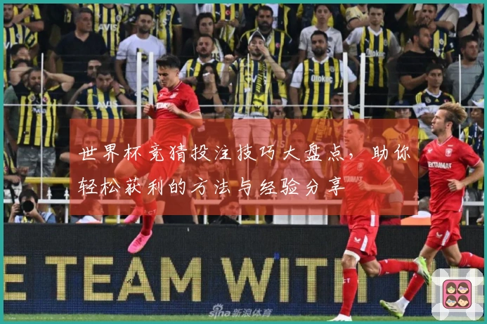 世界杯竞猜投注技巧大盘点，助你轻松获利的方法与经验分享