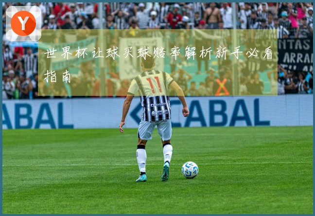 世界杯让球买球赔率解析新手必看指南