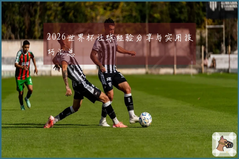 2026世界杯让球经验分享与实用技巧汇总