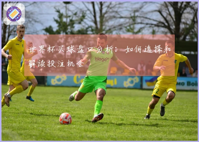 世界杯买球盘口分析：如何选择和解读投注机会