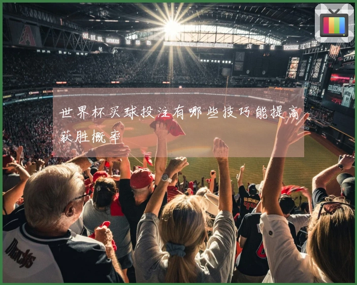 世界杯买球投注有哪些技巧能提高获胜概率