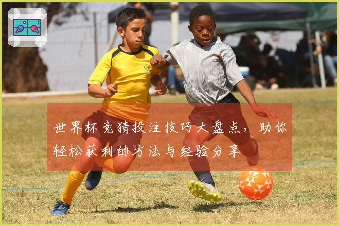 世界杯竞猜投注技巧大盘点，助你轻松获利的方法与经验分享