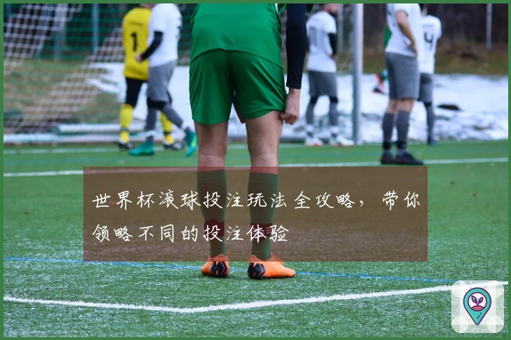 世界杯滚球投注玩法全攻略，带你领略不同的投注体验