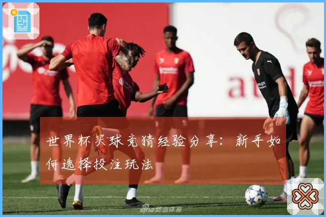世界杯买球竞猜经验分享：新手如何选择投注玩法