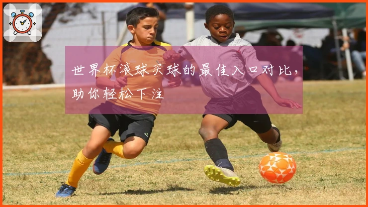 世界杯滚球买球的最佳入口对比，助你轻松下注