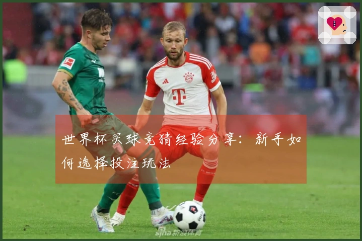 世界杯买球竞猜经验分享：新手如何选择投注玩法