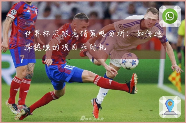 世界杯买球竞猜策略分析：如何选择稳赚的项目和时机