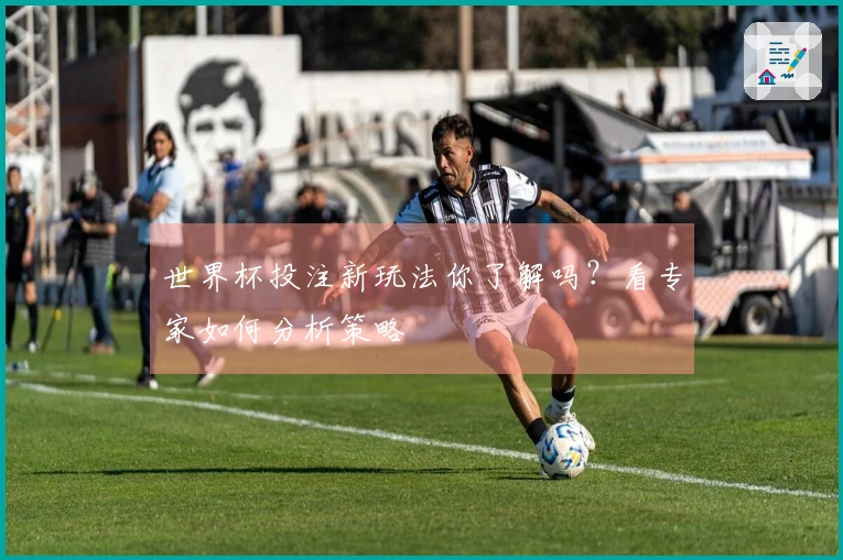 世界杯投注新玩法你了解吗？看专家如何分析策略